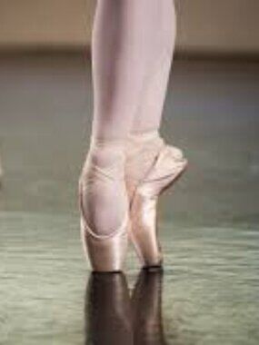 NWT Ballet Pointe Bloch Synergy  Shoes